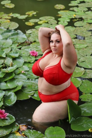 Czech Venus Photo #9