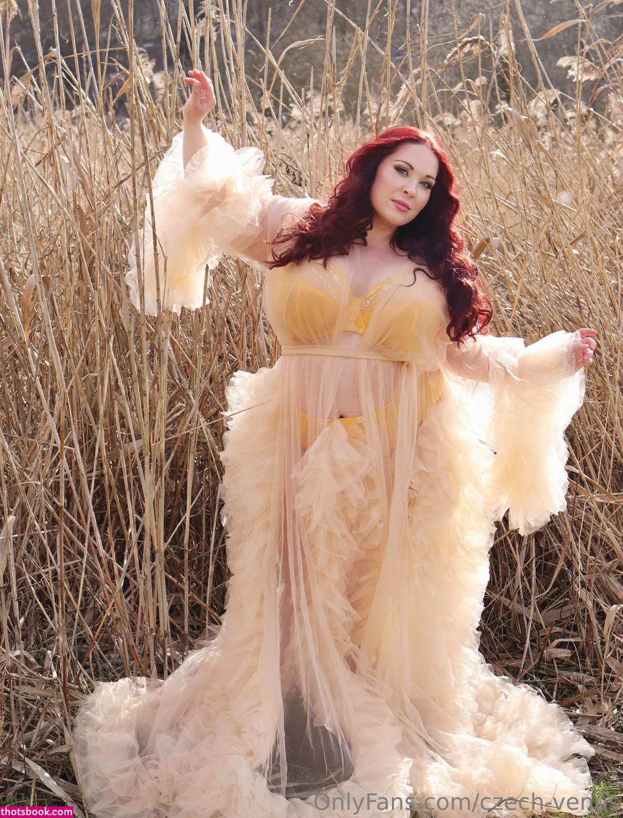 Czech Venus Photo #17