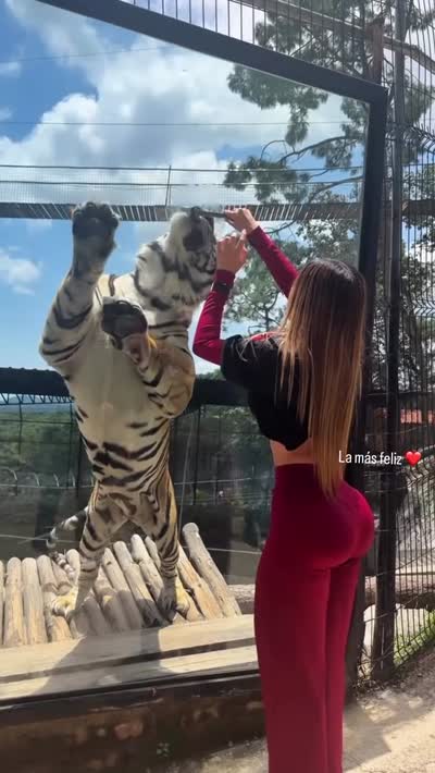 kareenromero2 Video #51
