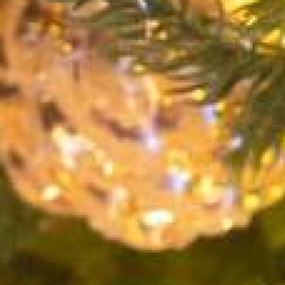 Vladislava Shelygina