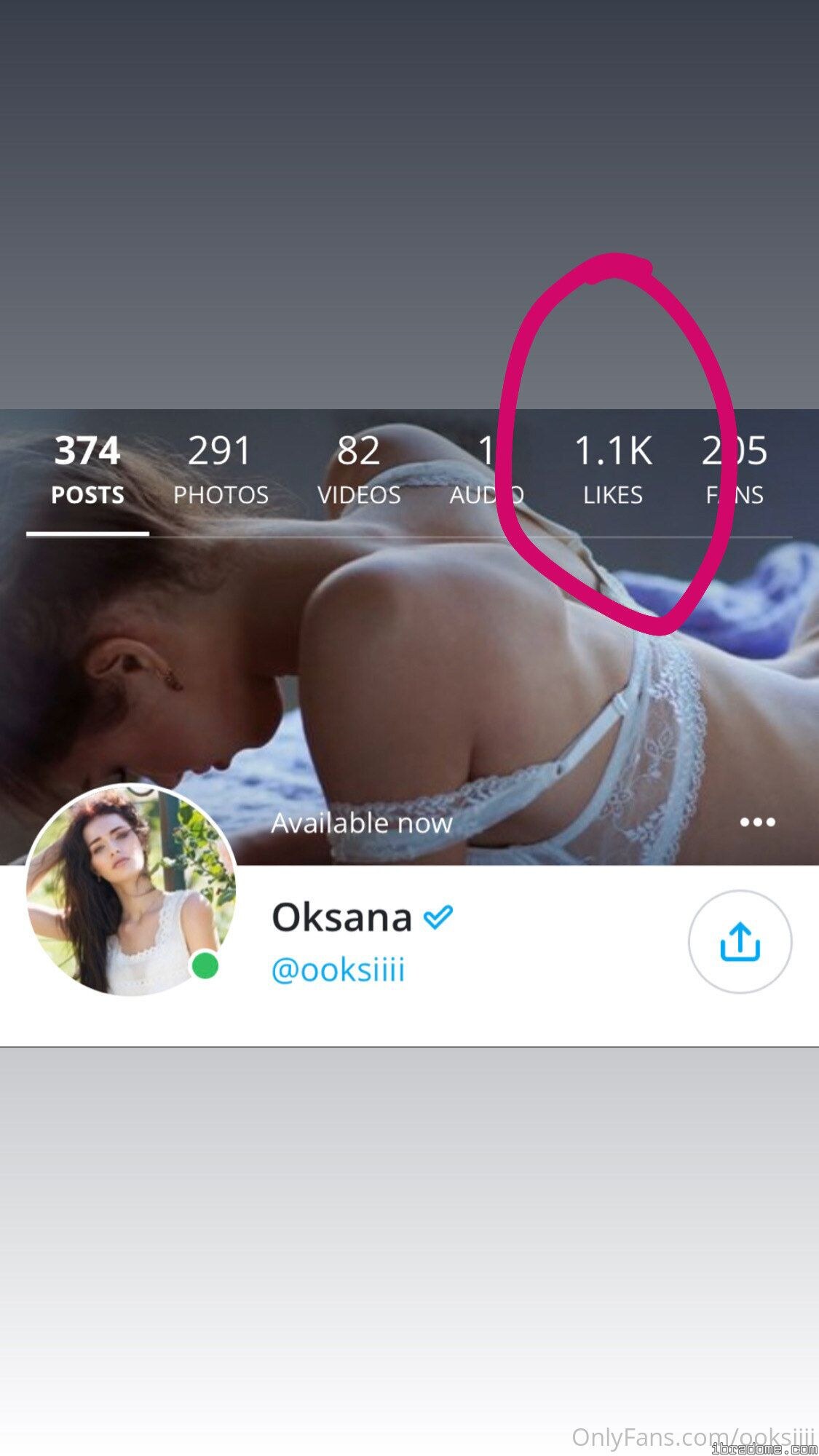 Creator Photo #52298