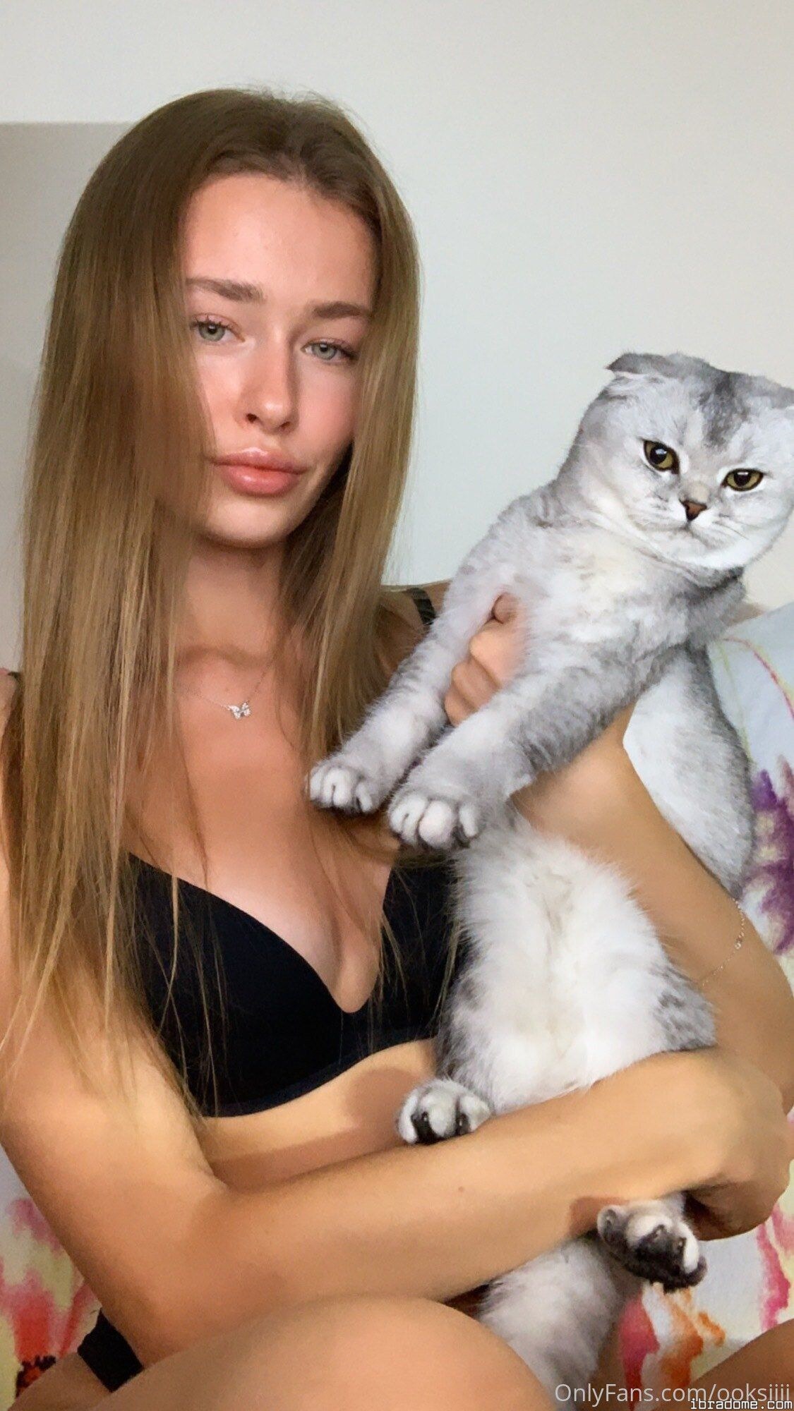 Creator Photo #52315