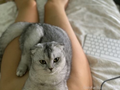 Creator Photo #52307