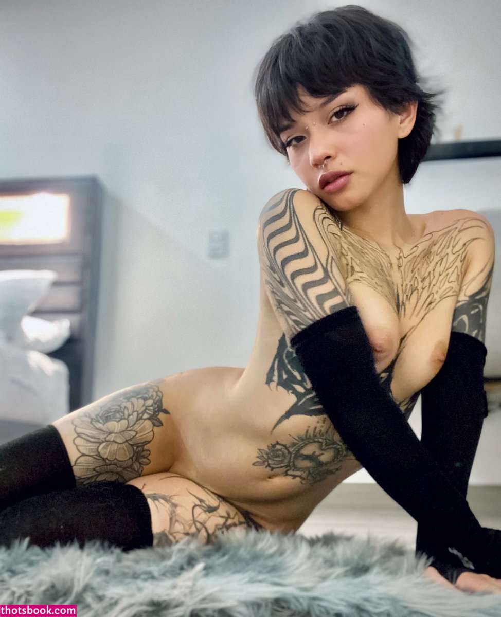 Creator Photo #277943