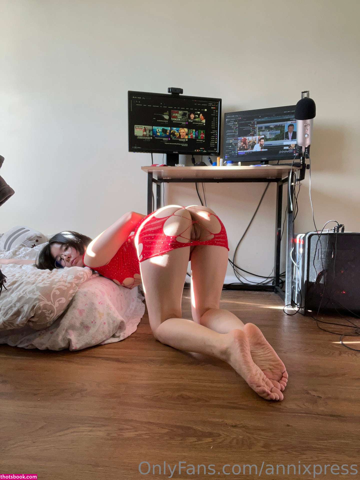 annixpress Photo #24