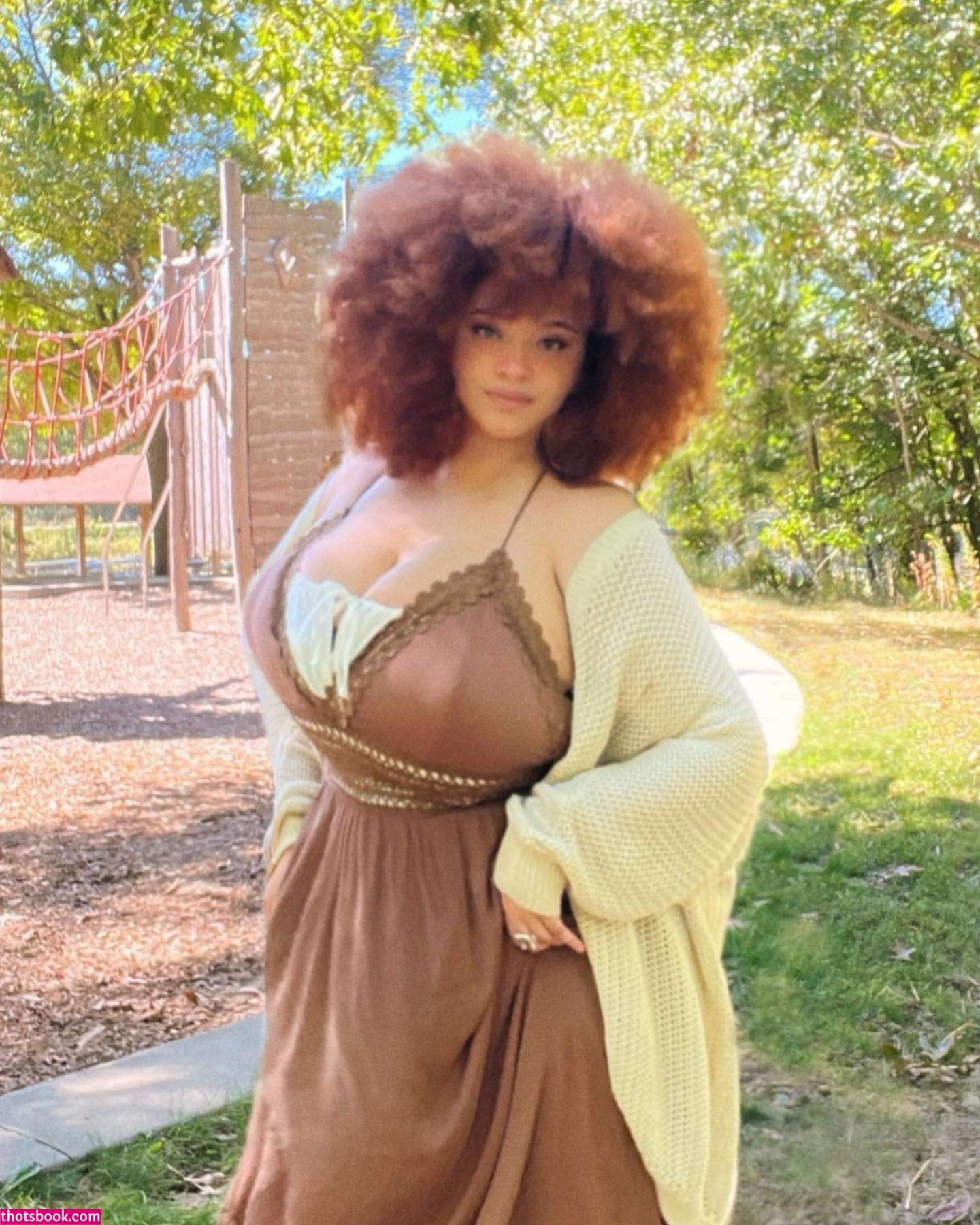 Nikkie Ginger Photo #4