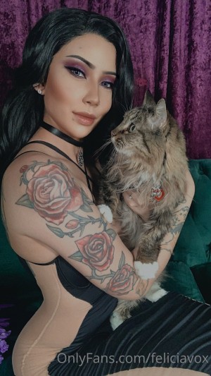 Feliciavox Photo #242