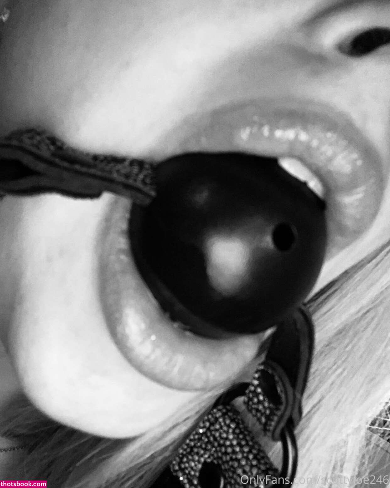 Scottyjoe246 Photo #35