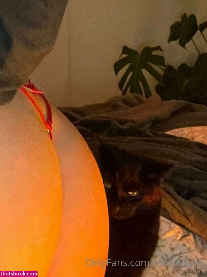 Elaine Davis Photo #26