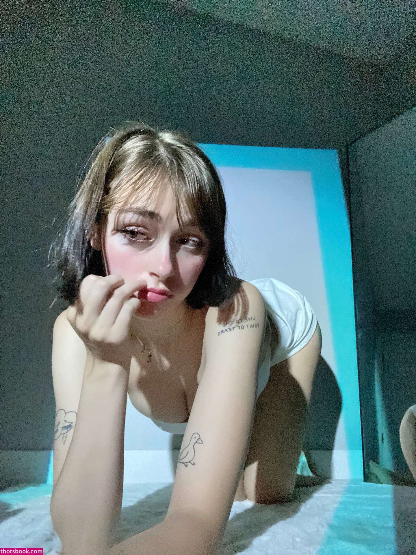 Awholelottazozo Photo #54