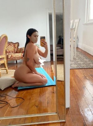 Sugar Plump Photo #20