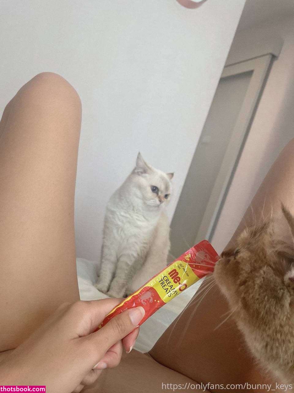 Bunny Keys Photo #57