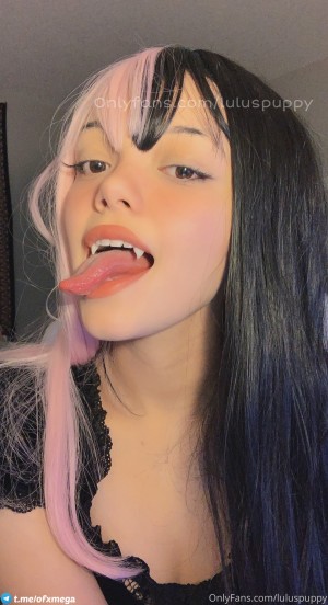 luluspuppy Photo #87