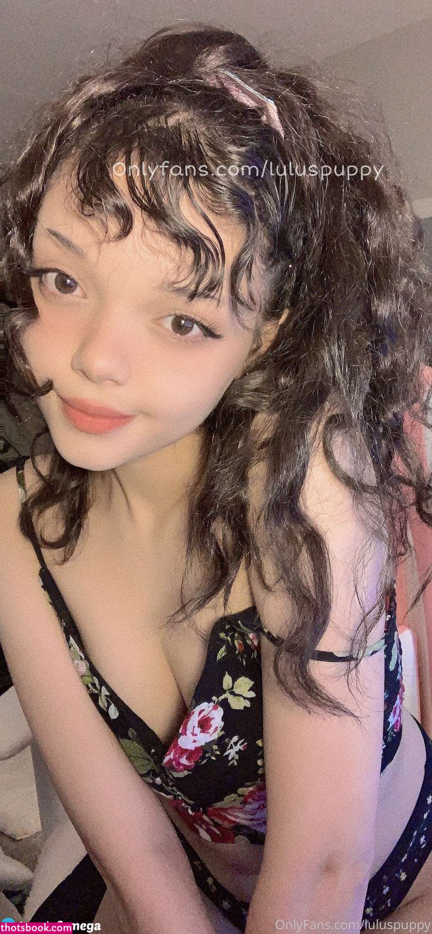 luluspuppy Photo #173