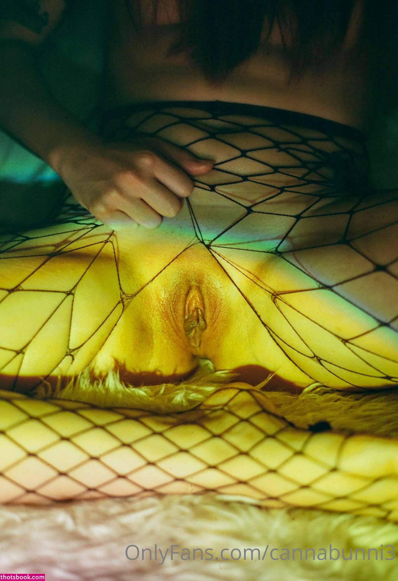 cannabunni3 Photo #48