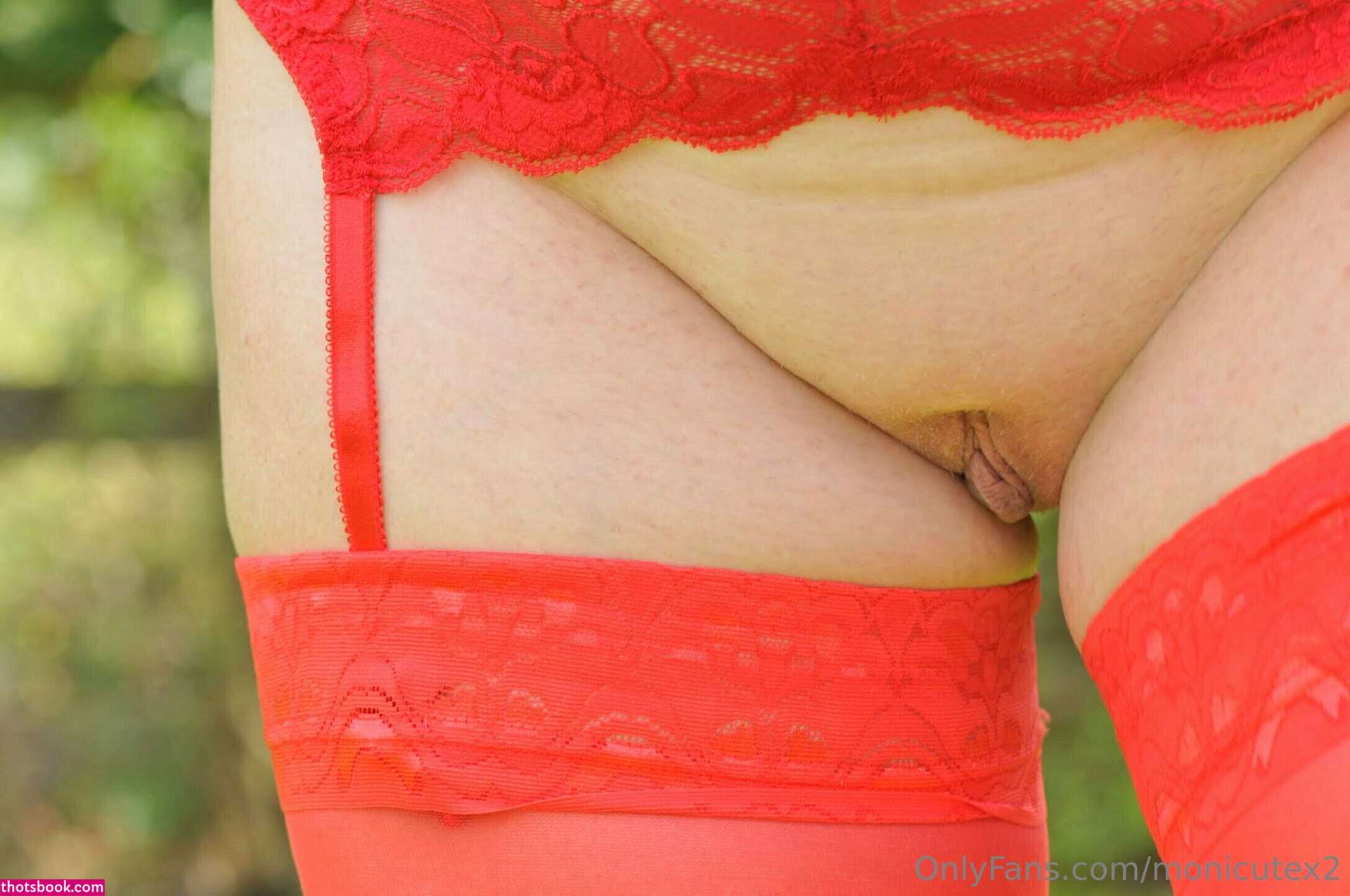 Monicutex Photo #123