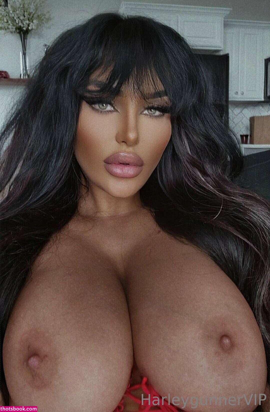 harleygunner Photo #13