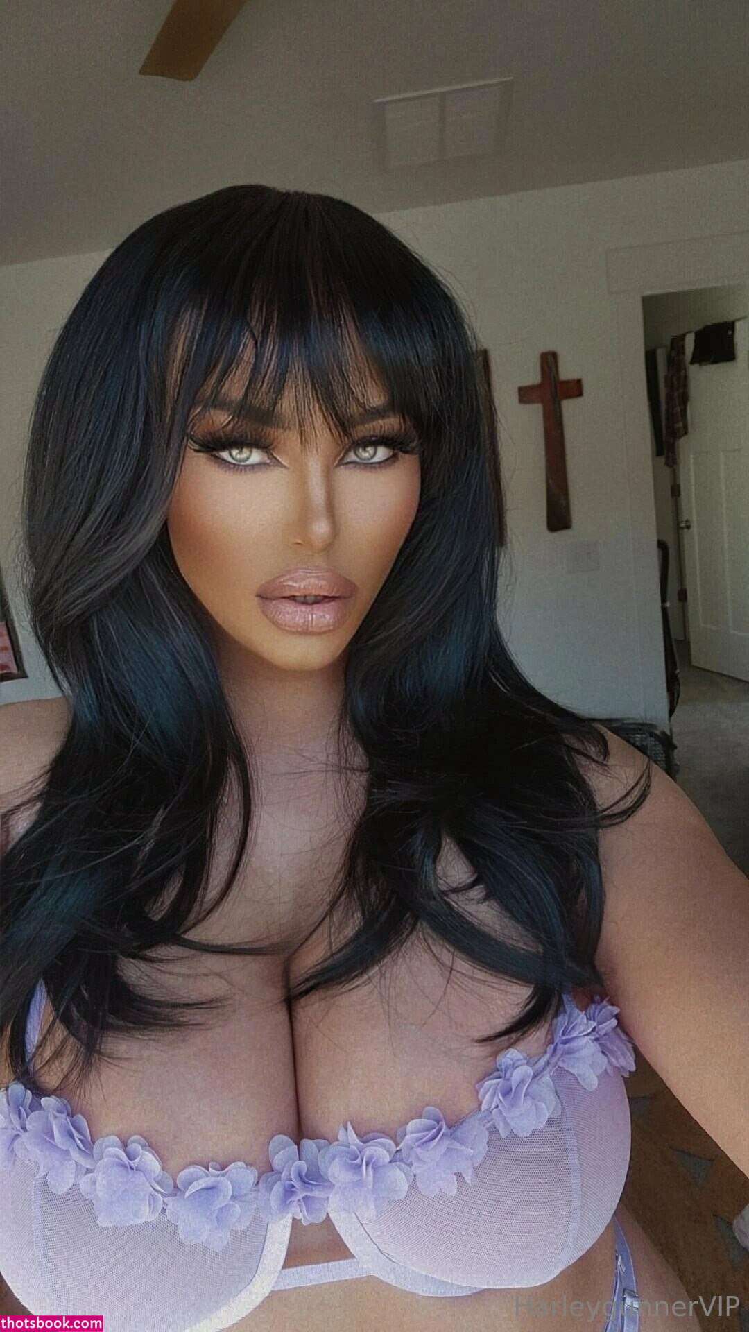 harleygunner Photo #27