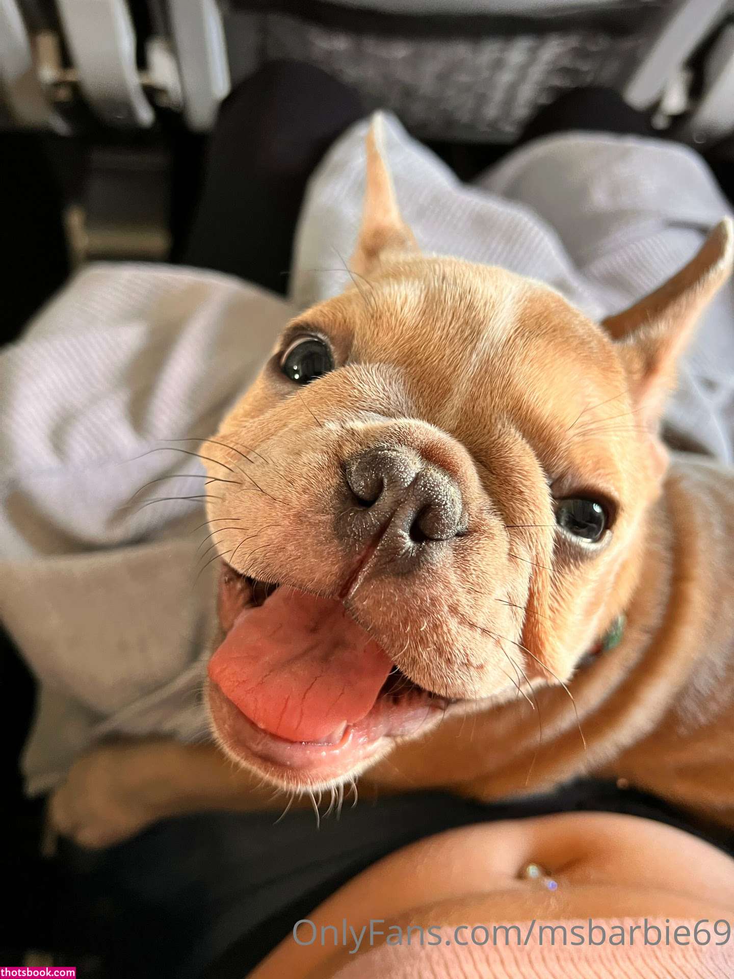 Msbarbie69 Photo #222