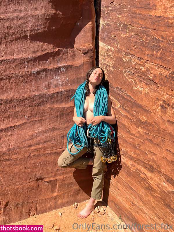 Forest Fox Photo #10