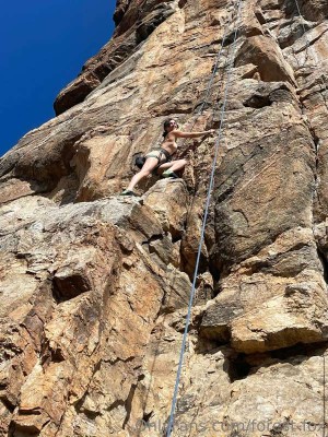 Forest Fox Photo #57