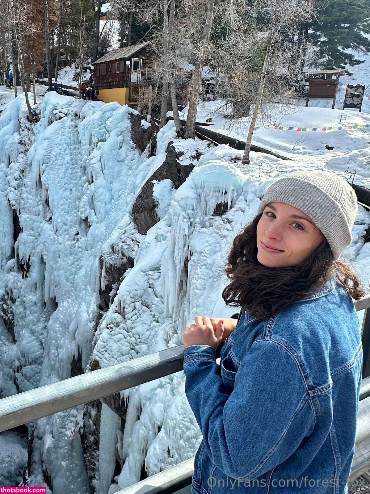 Forest Fox Photo #70