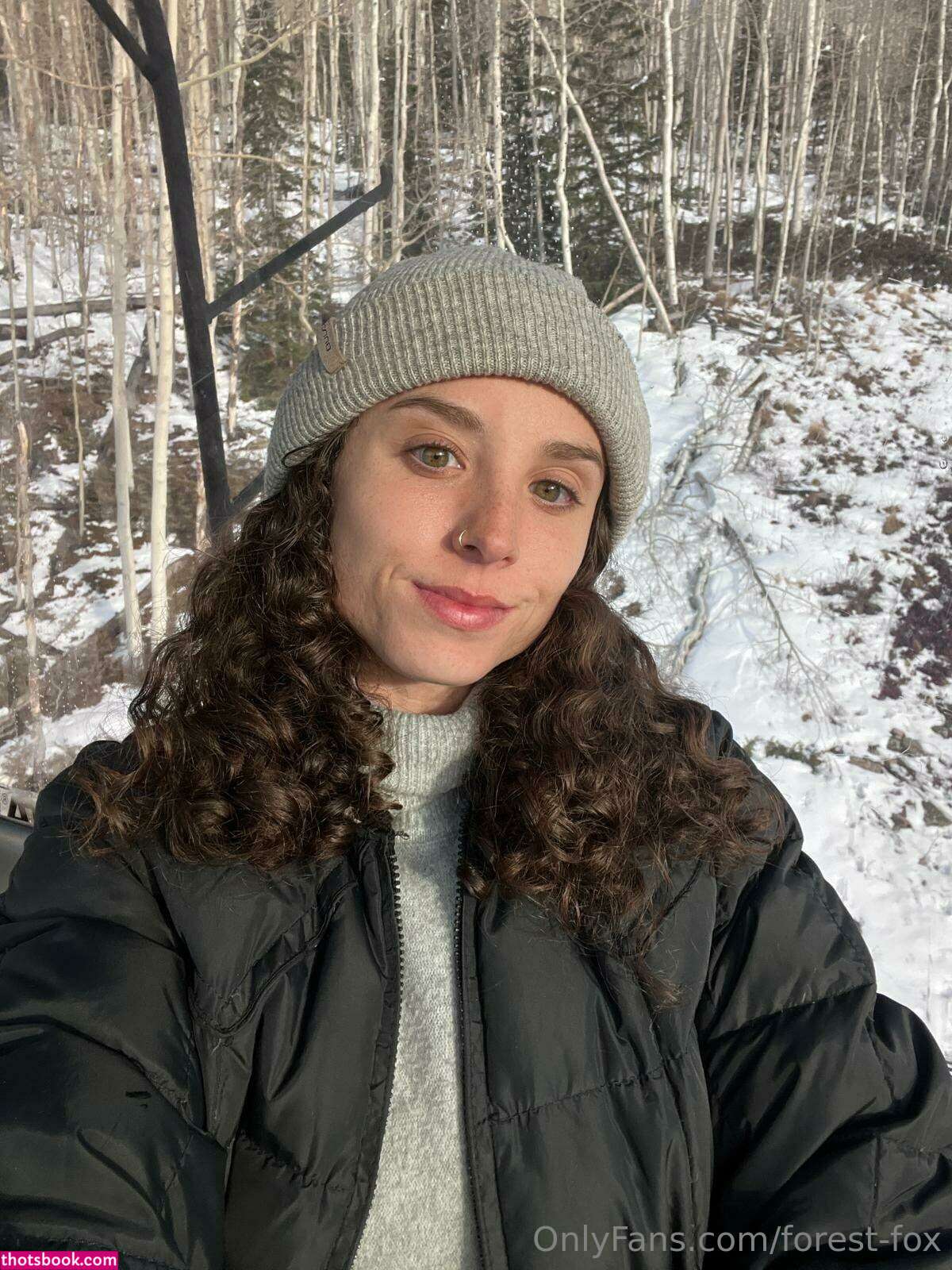 Forest Fox Photo #71