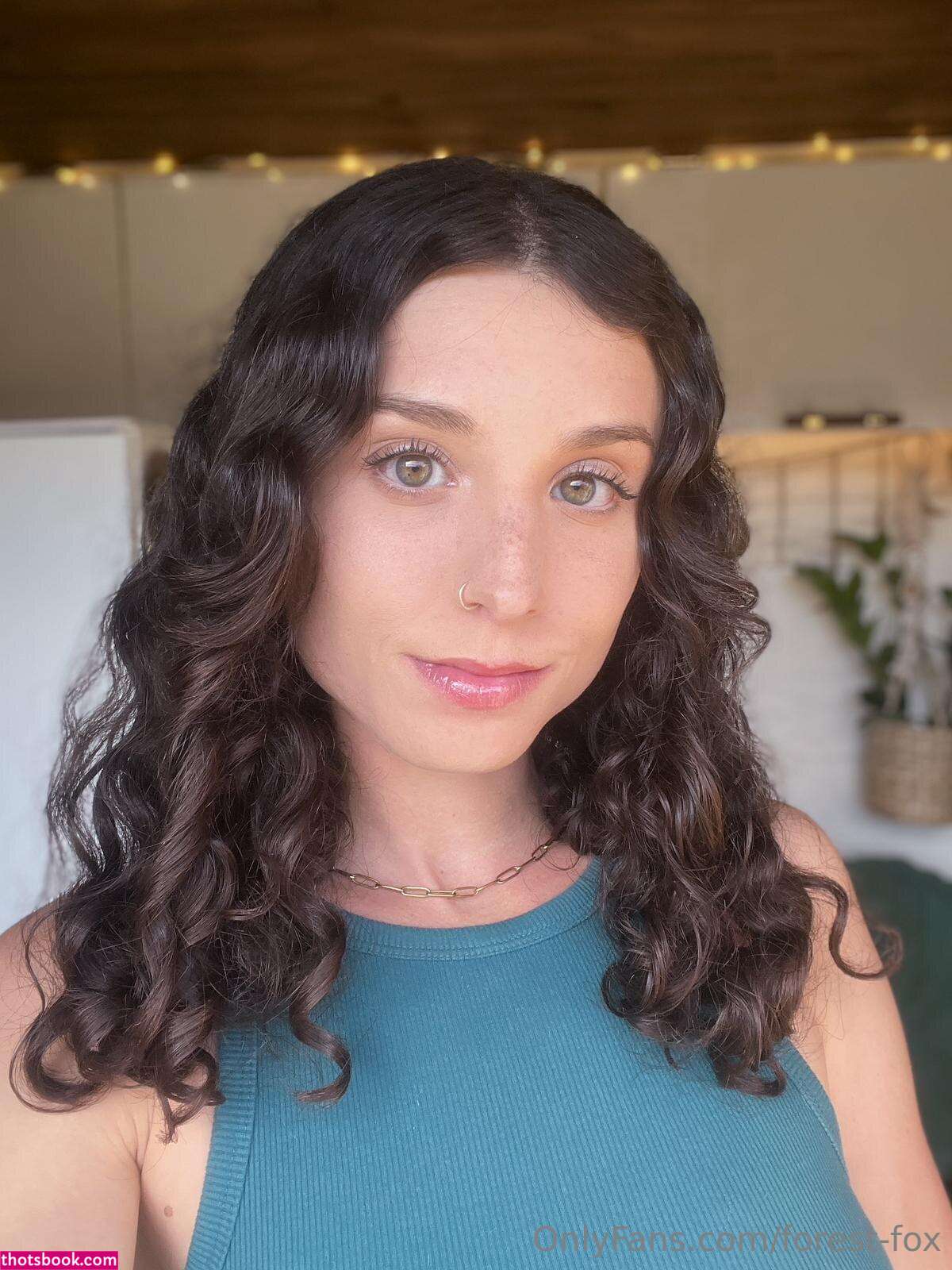 Forest Fox Photo #72