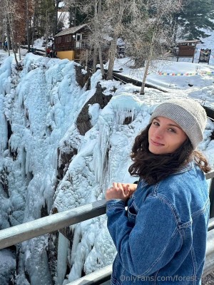 Forest Fox Photo #70