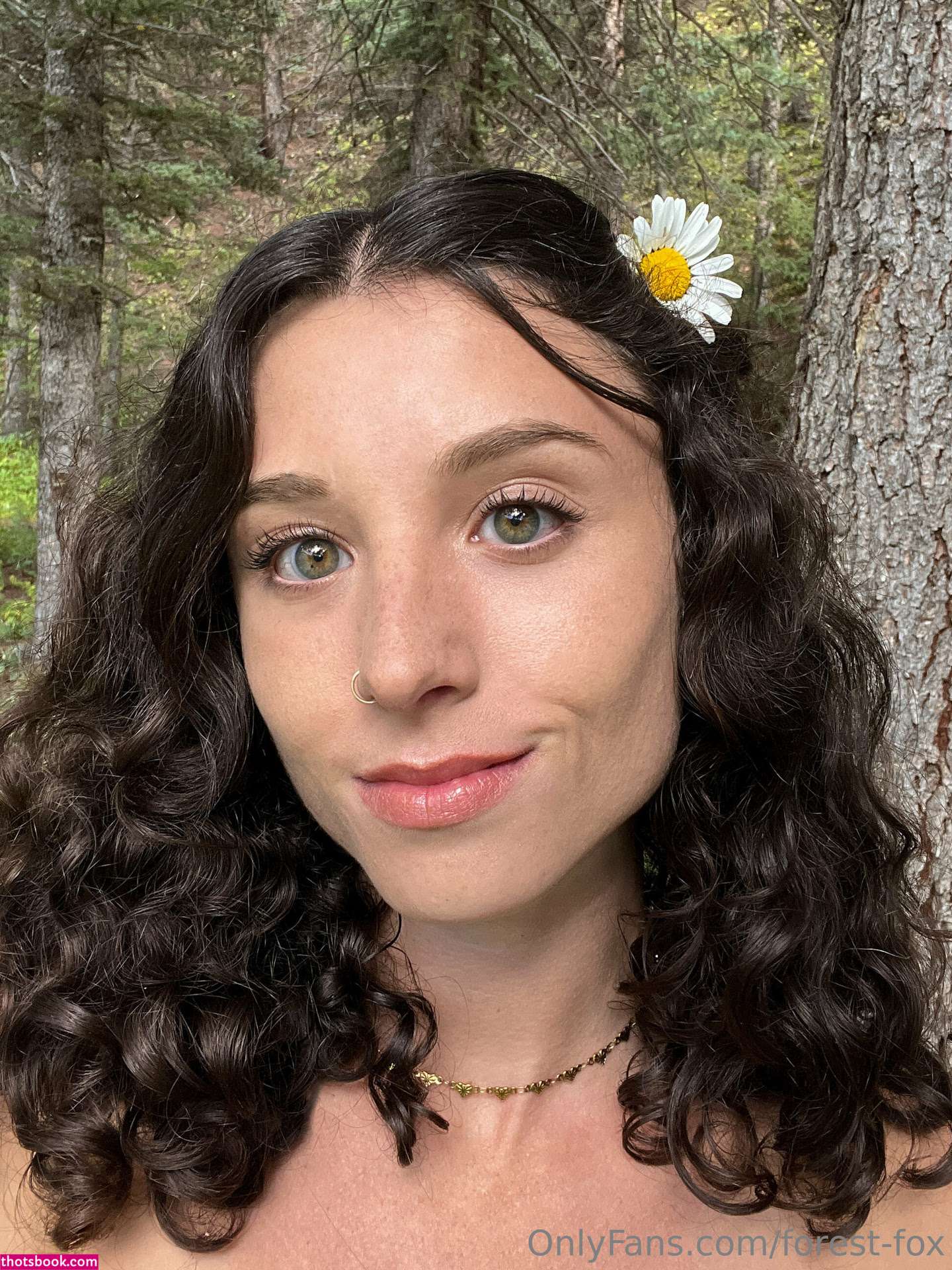 Forest Fox Photo #91