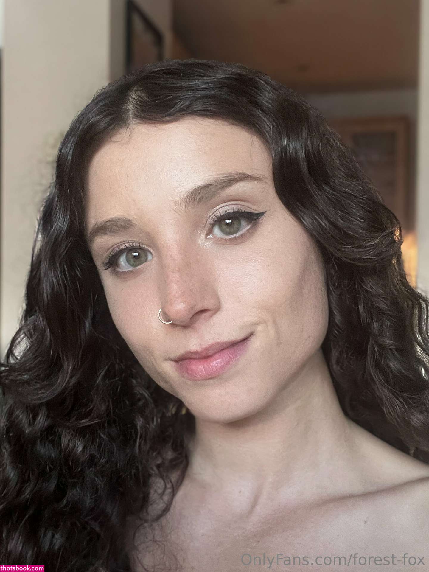 Forest Fox Photo #95