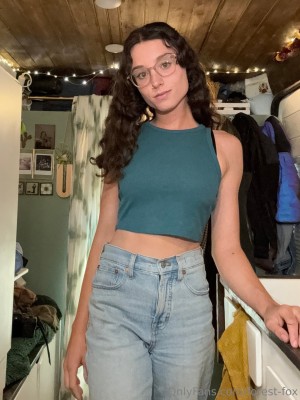 Forest Fox Photo #89