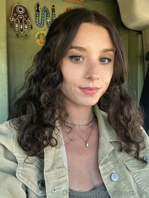 Forest Fox Photo #101