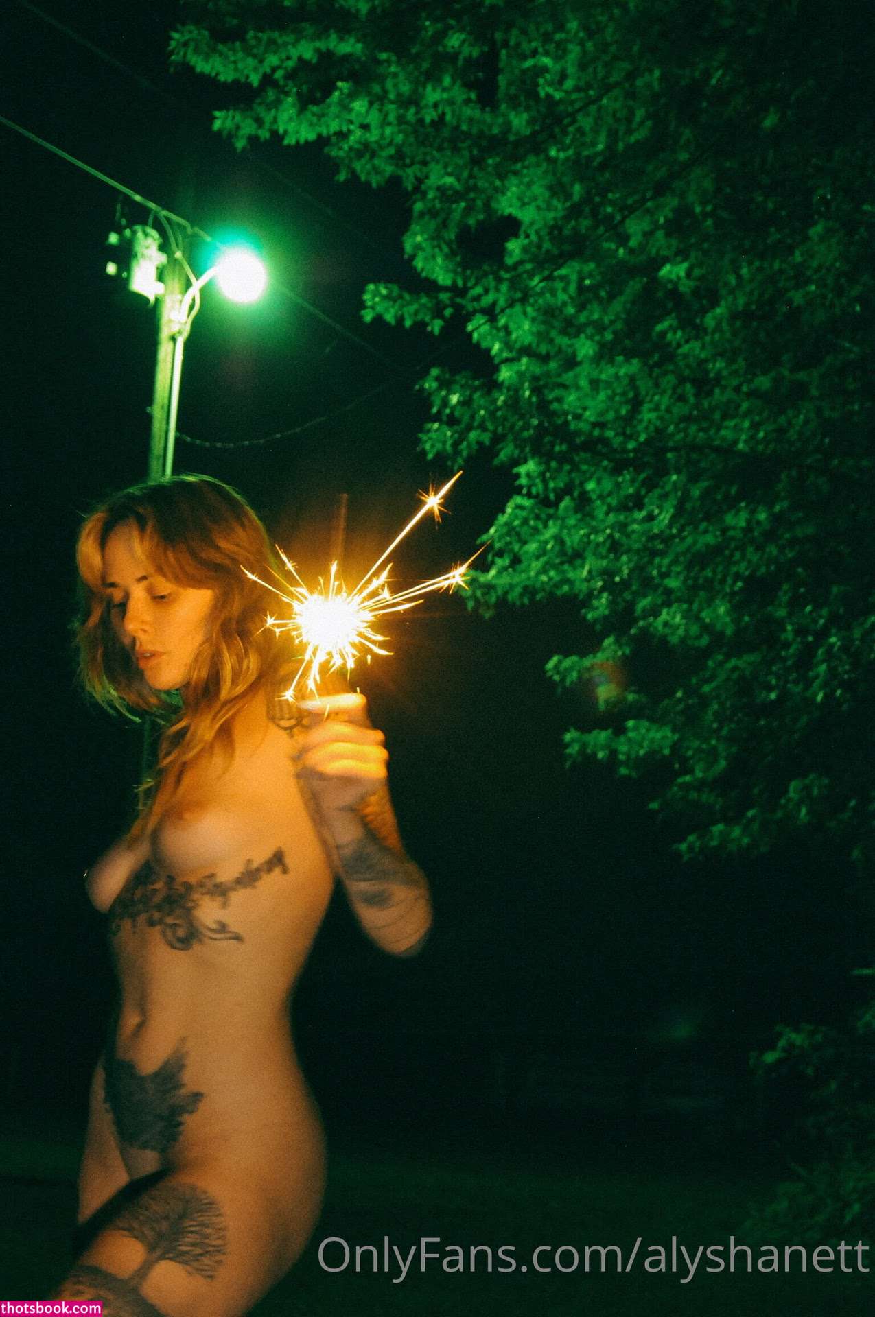 Alysha Nett Photo #303