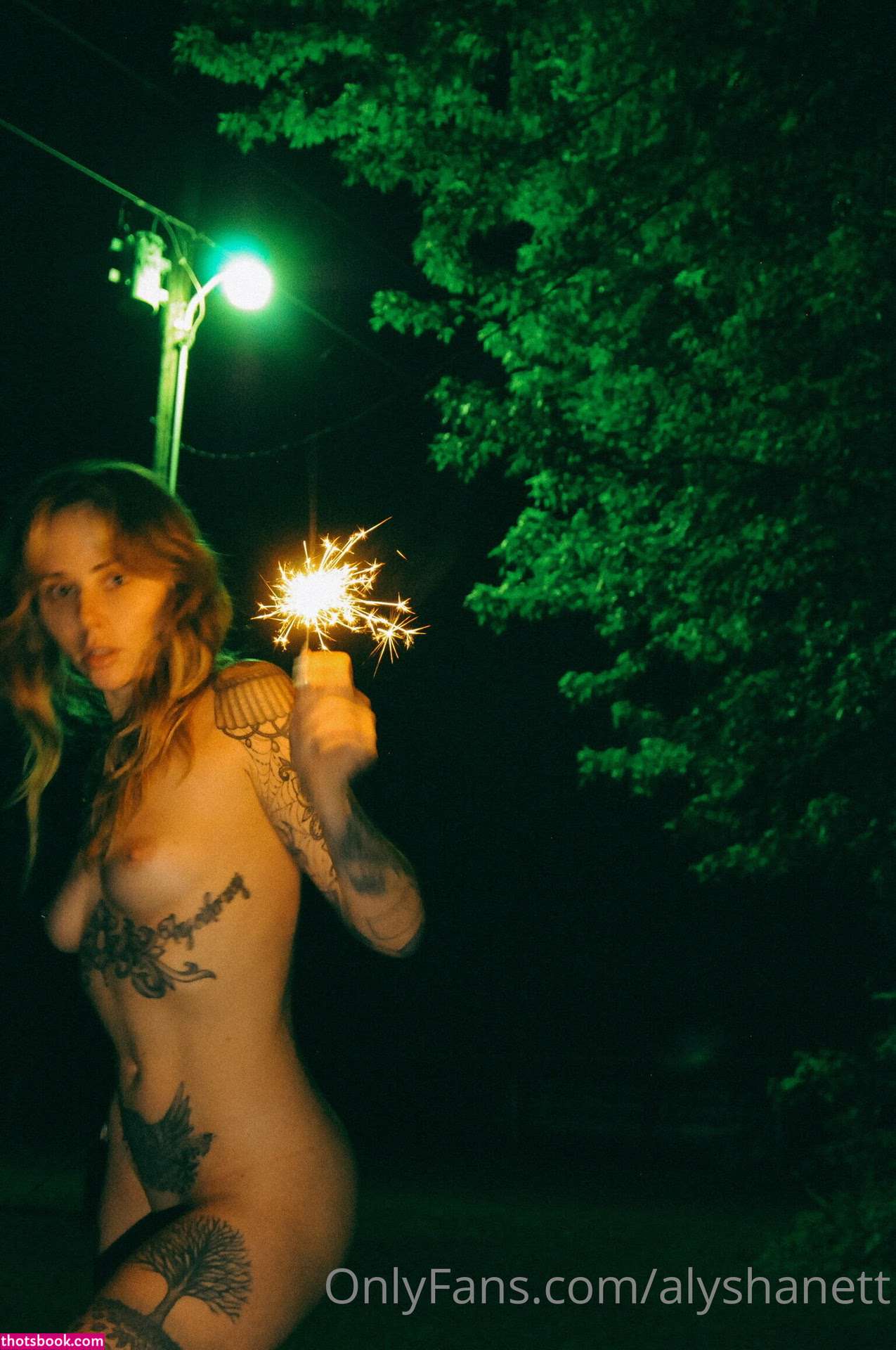 Alysha Nett Photo #312