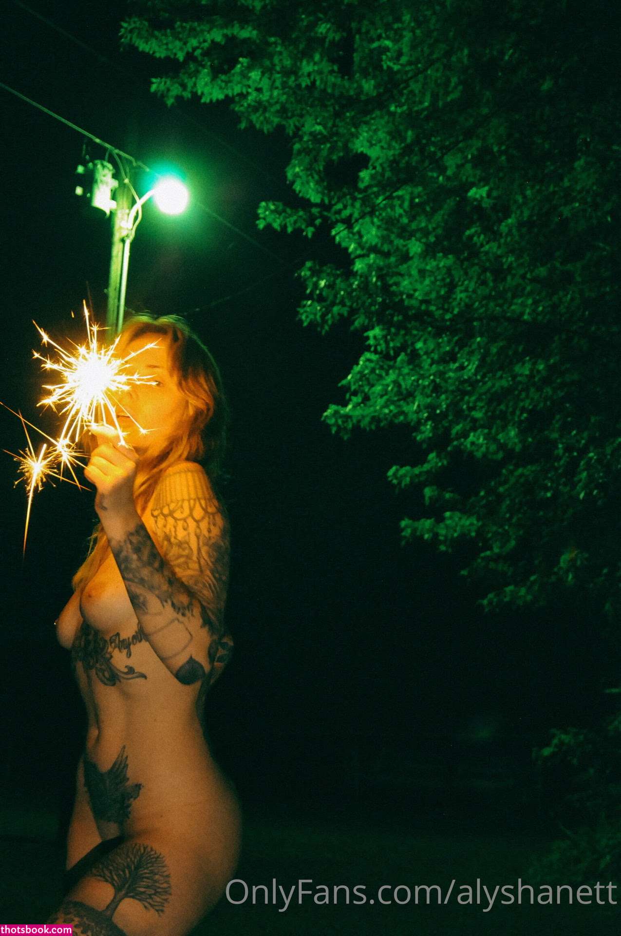 Alysha Nett Photo #314
