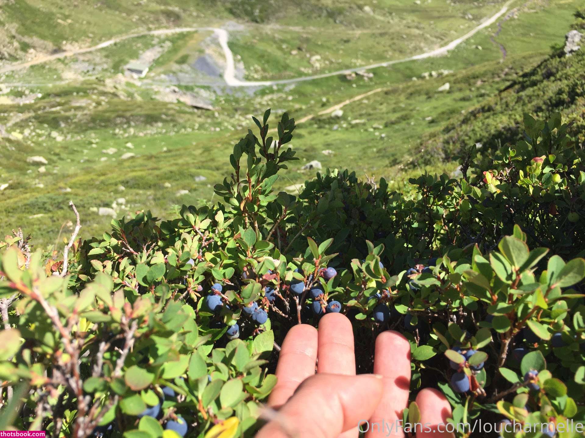 Lou Charmelle Photo #29