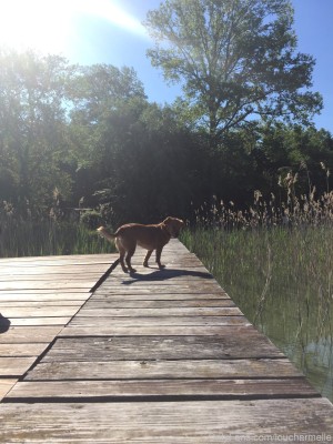 Lou Charmelle Photo #112