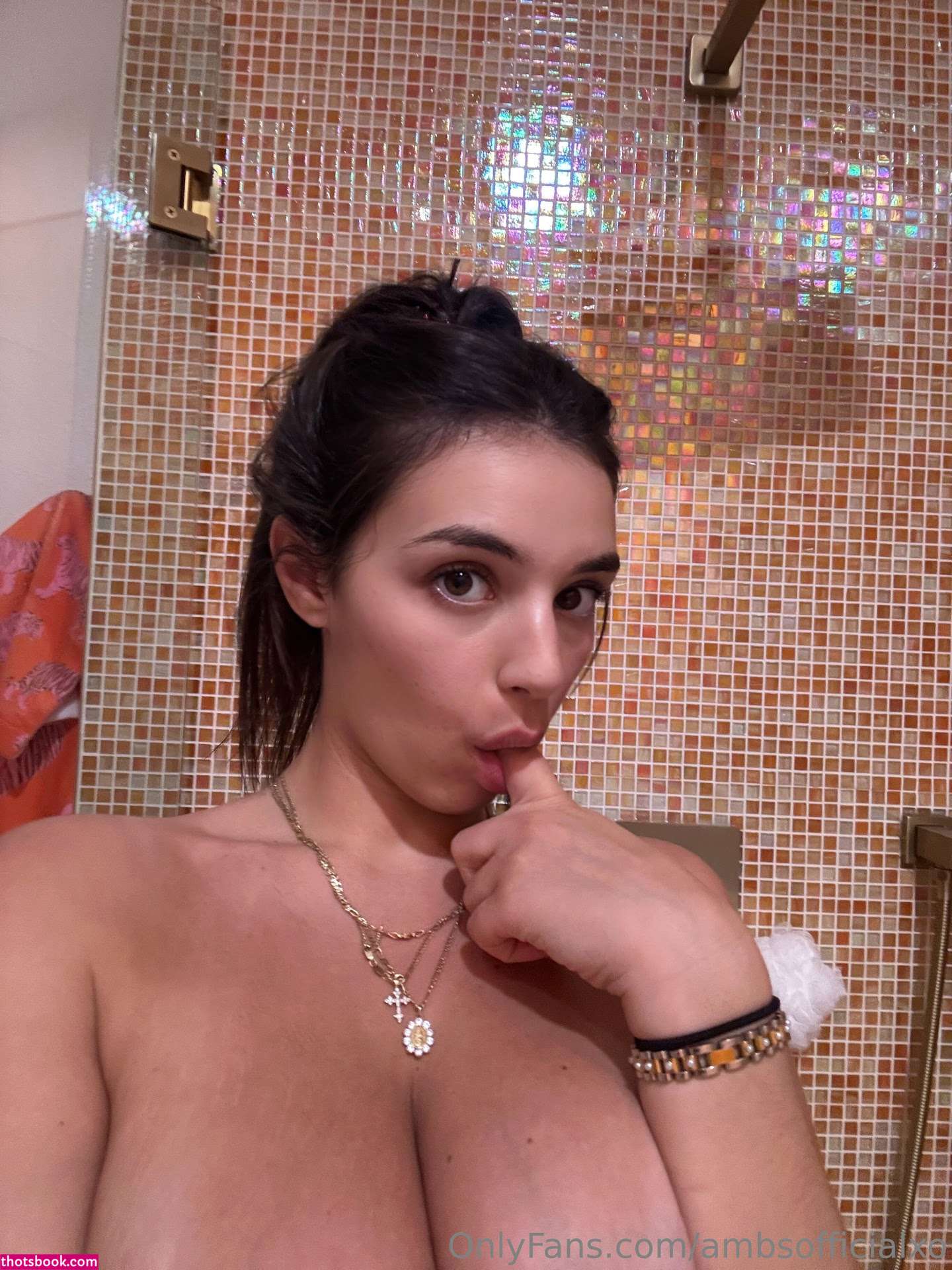 Amber Ajami Photo #341