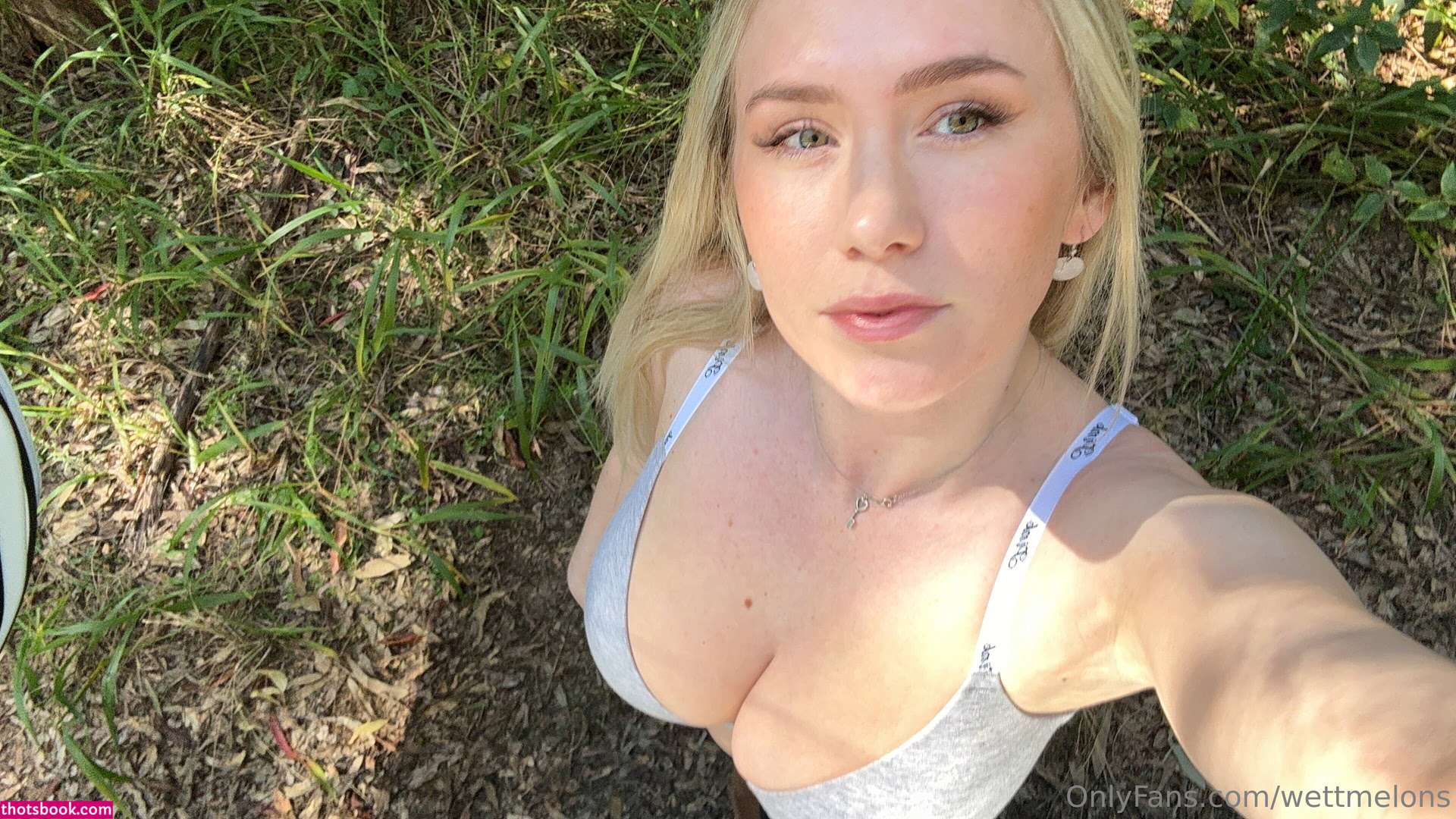 Wettmelons Photo #849