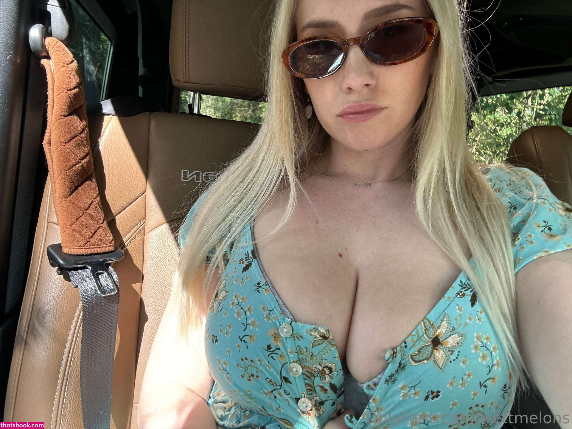 Wettmelons Photo #851