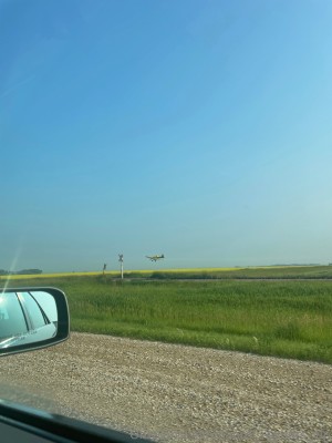 Naomi Reyner Photo #25