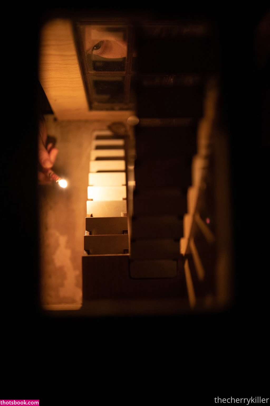 thestrawberrybutcher Photo #15