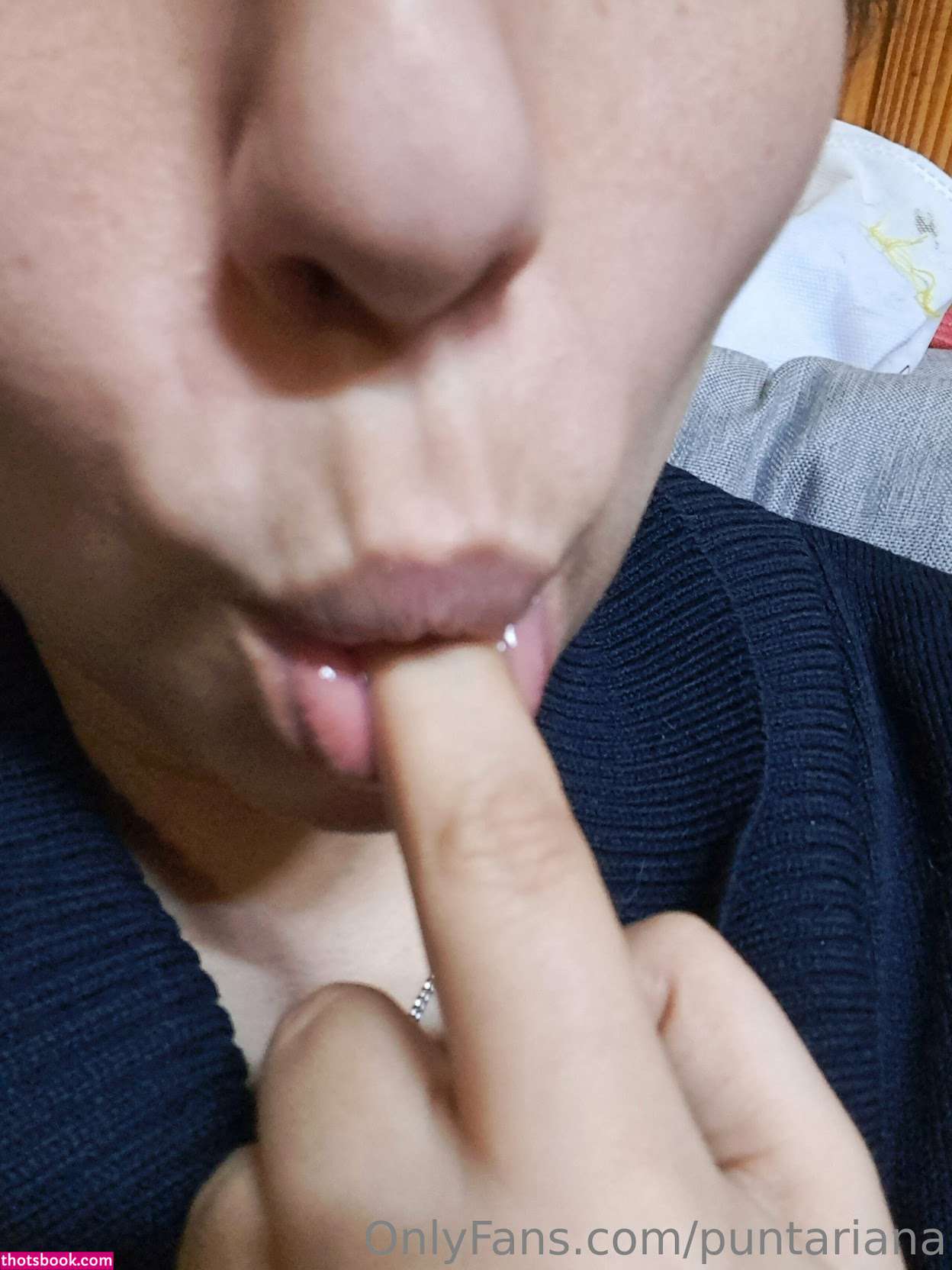 puntariana Photo #12