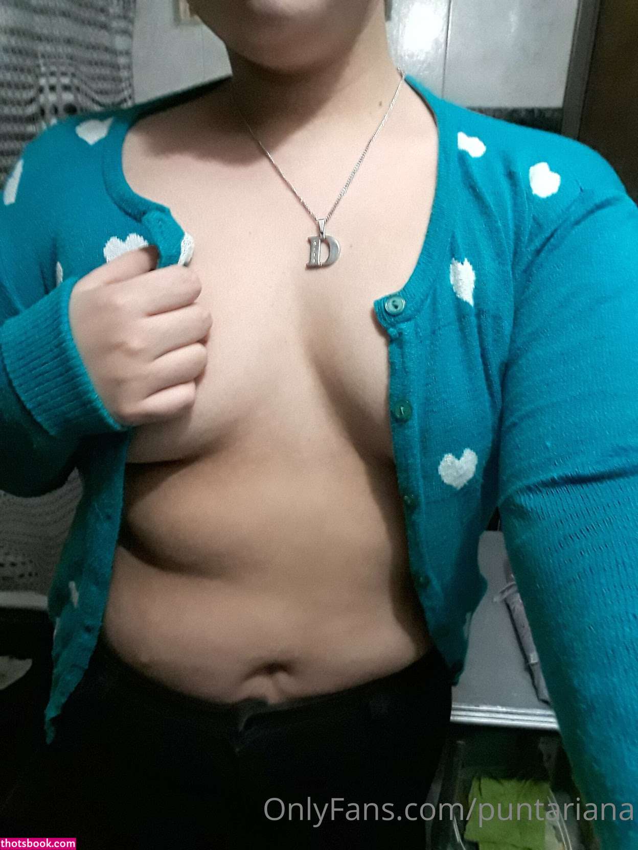 puntariana Photo #30