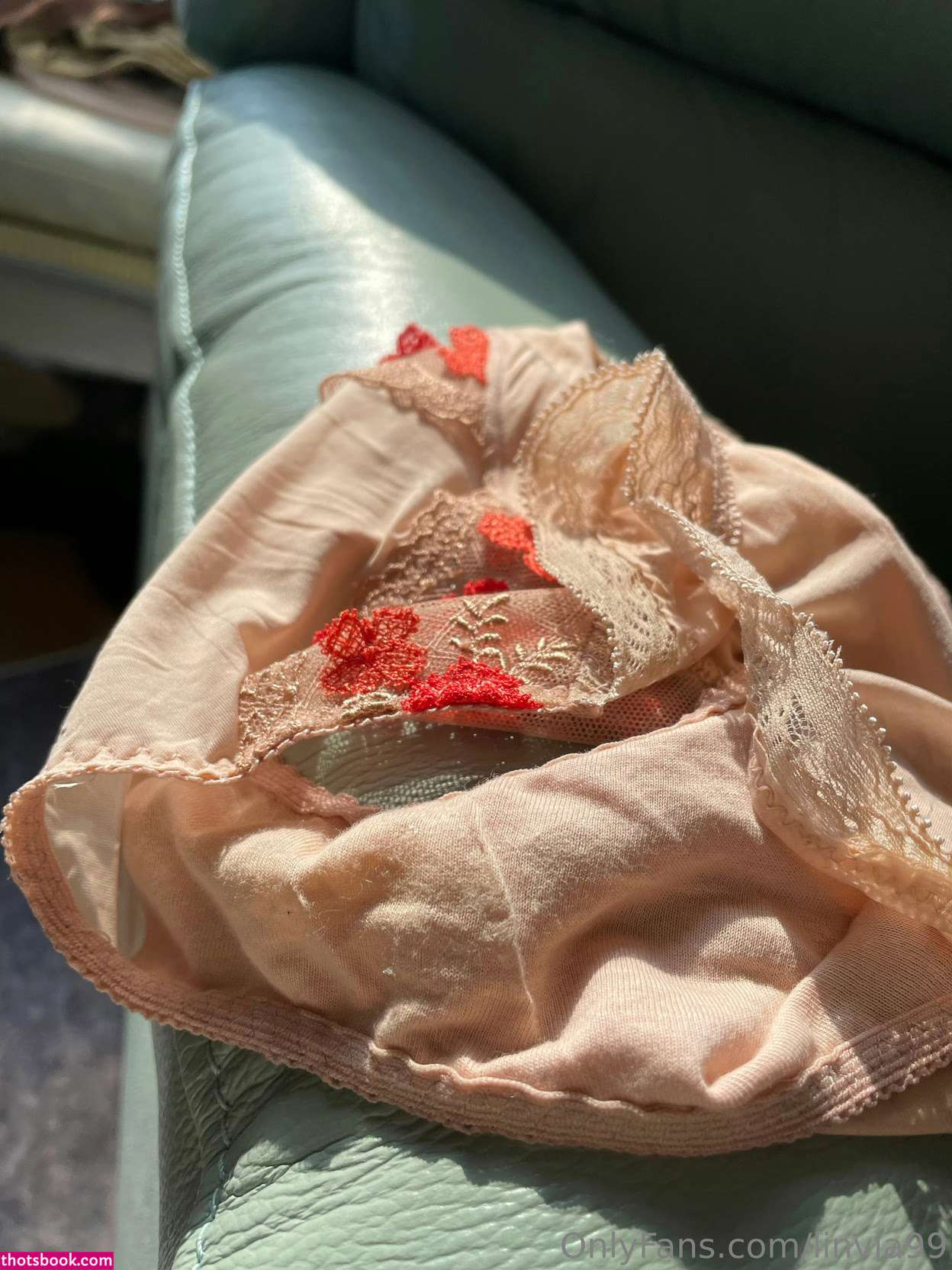 linviaslair Photo #9