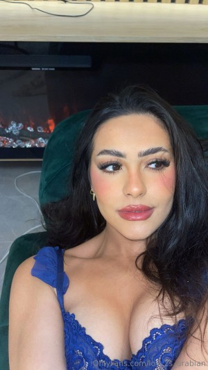 Lov 2S Arabian Photo #3