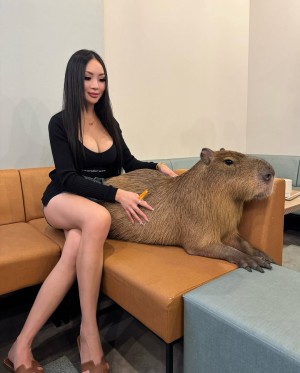 Connie Chen Photo #22