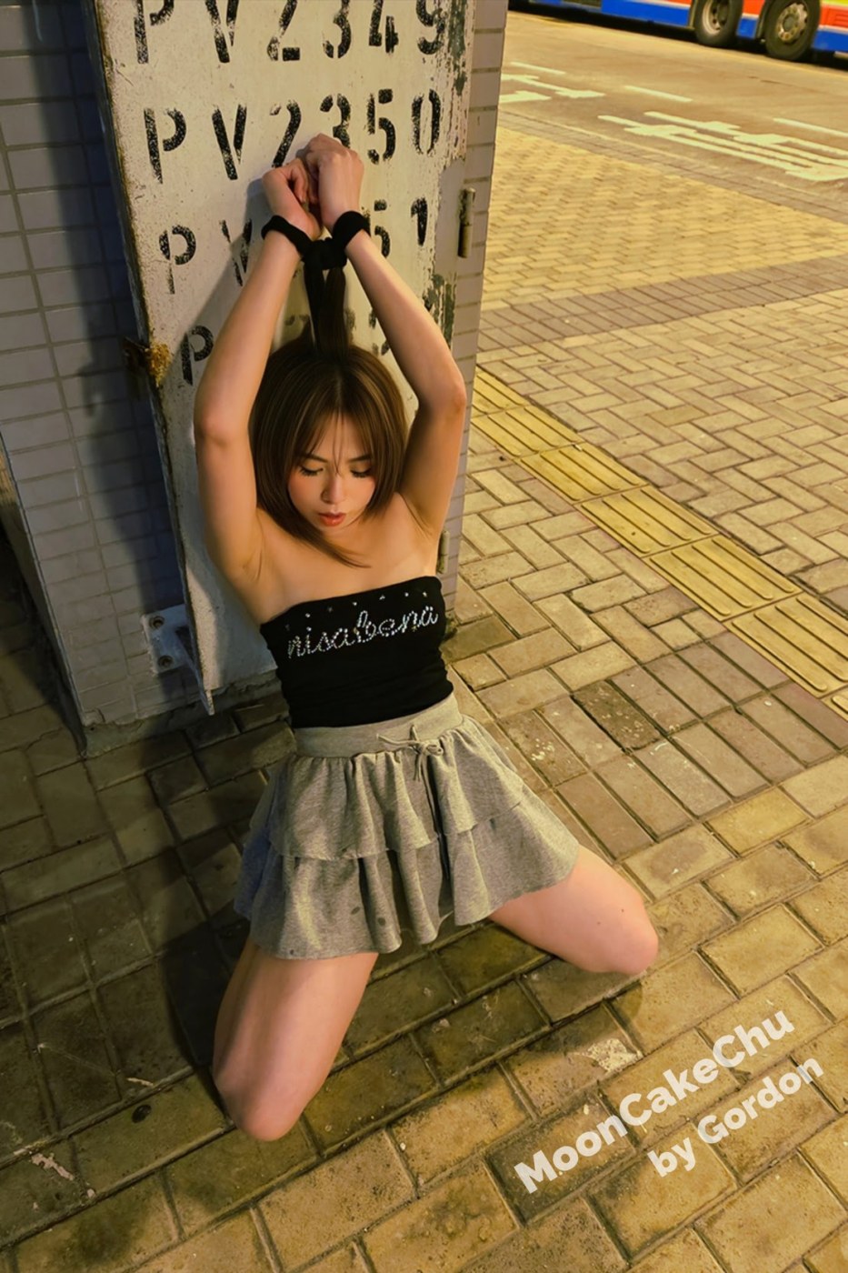 Mooncakechu Photo #3