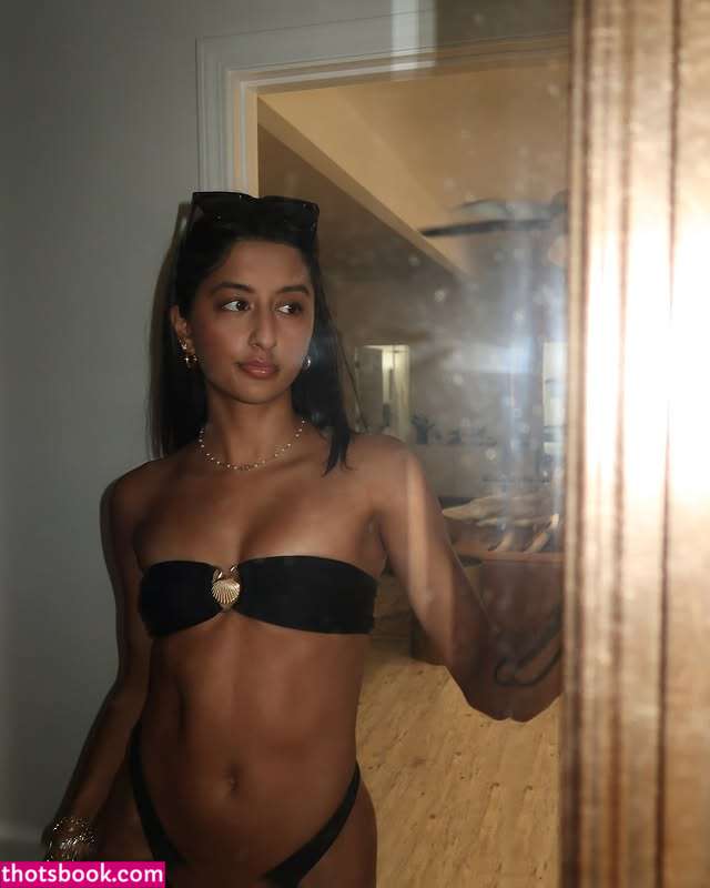 Amira Brar amiraabrarr Nude Leaks OnlyFans Photos #3 1877790